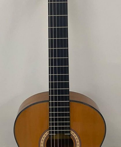 SOLARES HG560 KLASİK GİTAR  MASİF AĞAÇ